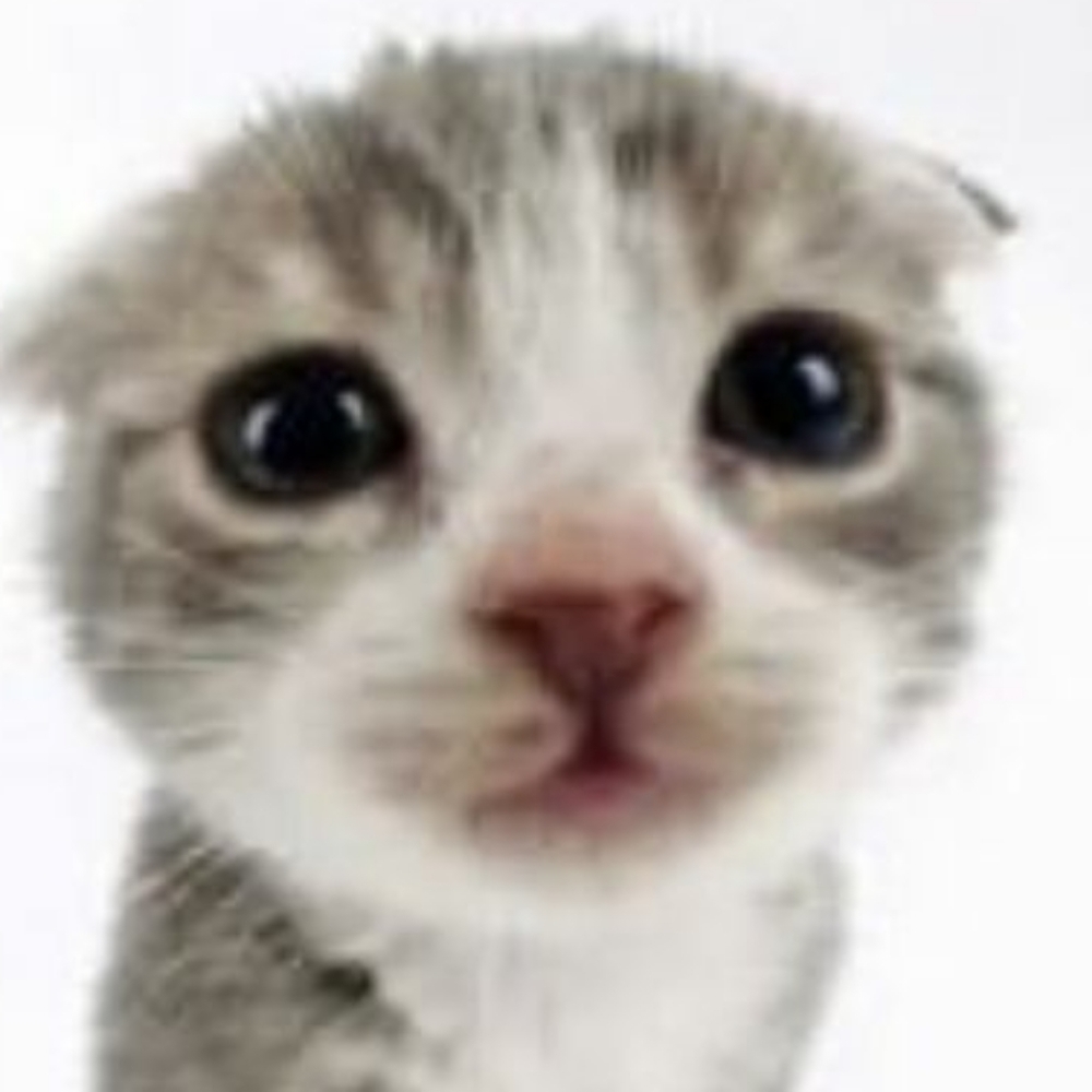 Meet your Posher, Atreyu